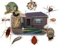 Abriel Pest & Termite Control image 3